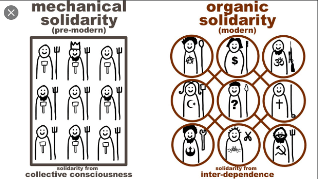 Difference between Mechanical and Organic Solidarity