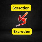 Difference between Secretion and Excretion