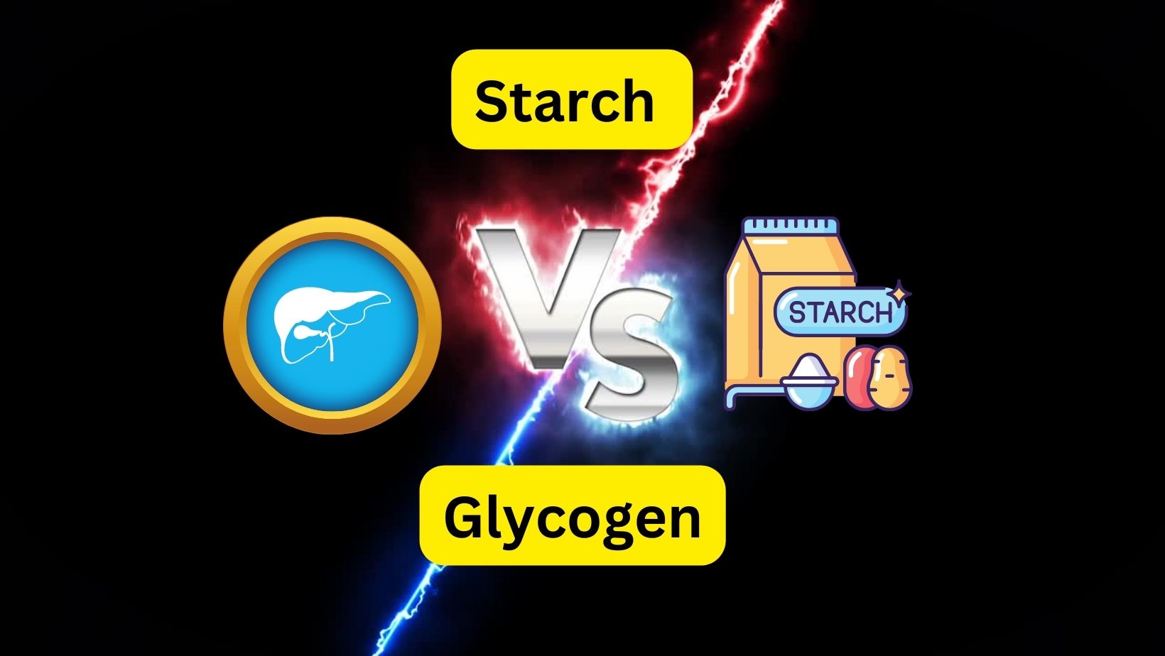 Starch vs Glycogen